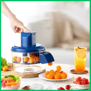 Multipurpose Automatic Fruit & Garlic Peeler Machine